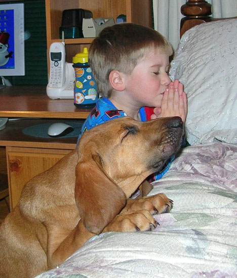 boy dog praying